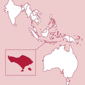 Bali Natural Micro-lot