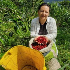 Colombia Gesha (½ lb)